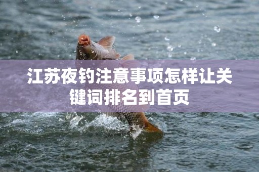 江苏夜钓注意事项怎样让关键词排名到首页