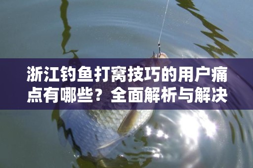 浙江钓鱼打窝技巧的用户痛点有哪些？全面解析与解决方案