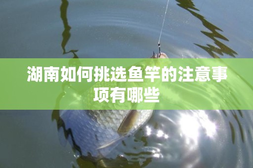 湖南如何挑选鱼竿的注意事项有哪些