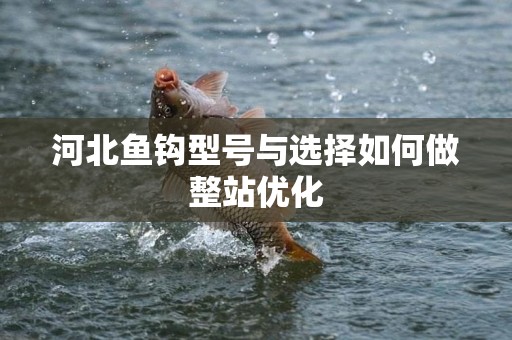 河北鱼钩型号与选择如何做整站优化