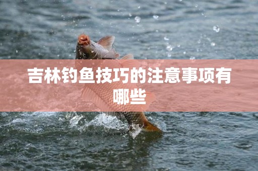 吉林钓鱼技巧的注意事项有哪些
