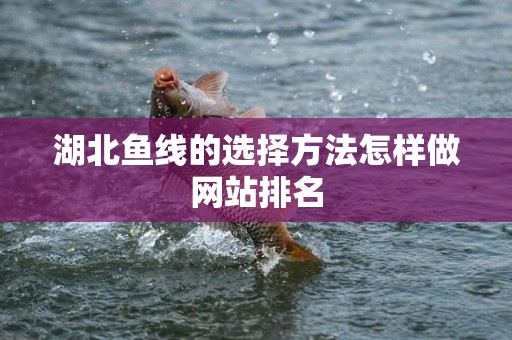 湖北鱼线的选择方法怎样做网站排名