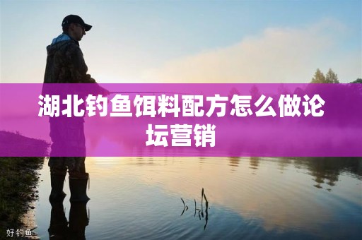 湖北钓鱼饵料配方怎么做论坛营销