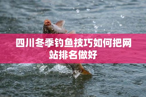 四川冬季钓鱼技巧如何把网站排名做好