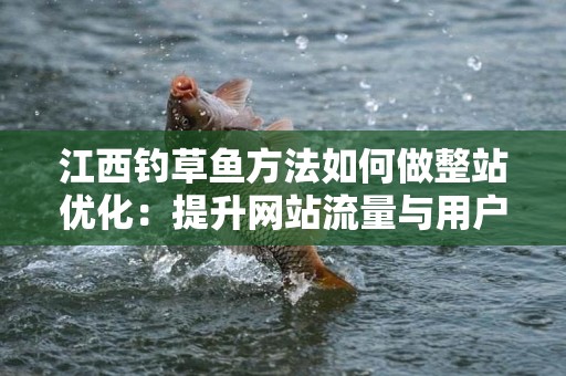 江西钓草鱼方法如何做整站优化：提升网站流量与用户体验