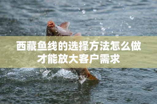 西藏鱼线的选择方法怎么做才能放大客户需求