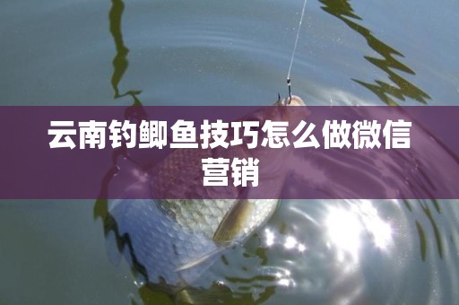 云南钓鲫鱼技巧怎么做微信营销