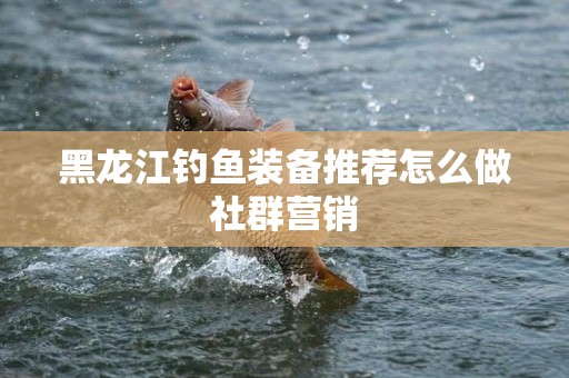 黑龙江钓鱼装备推荐怎么做社群营销