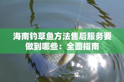 海南钓草鱼方法售后服务要做到哪些：全面指南