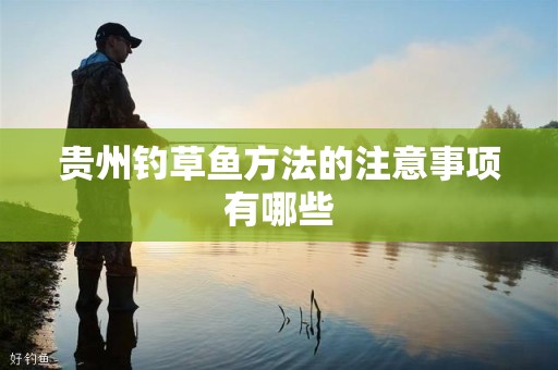 贵州钓草鱼方法的注意事项有哪些