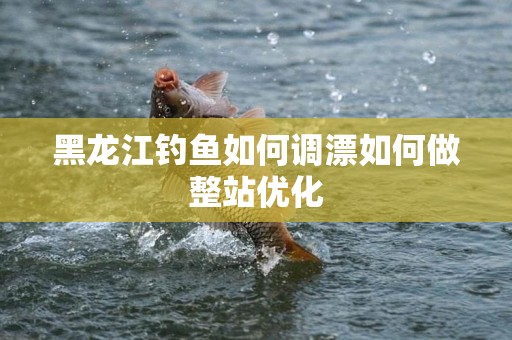 黑龙江钓鱼如何调漂如何做整站优化