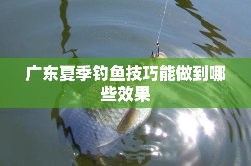 广东夏季钓鱼技巧能做到哪些效果