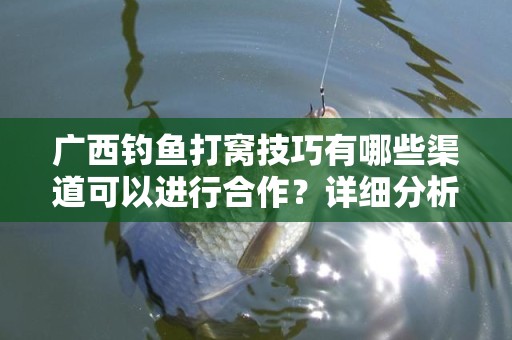 广西钓鱼打窝技巧有哪些渠道可以进行合作？详细分析与探讨