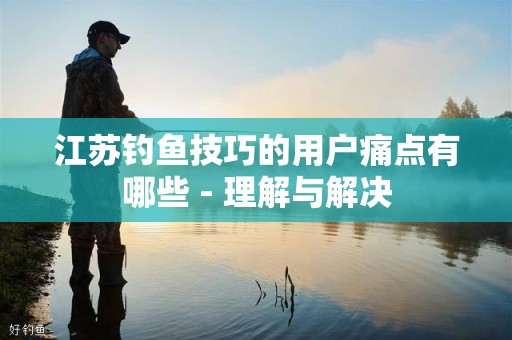江苏钓鱼技巧的用户痛点有哪些 - 理解与解决