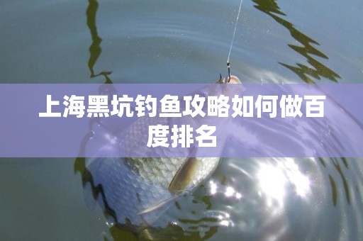 上海黑坑钓鱼攻略如何做百度排名