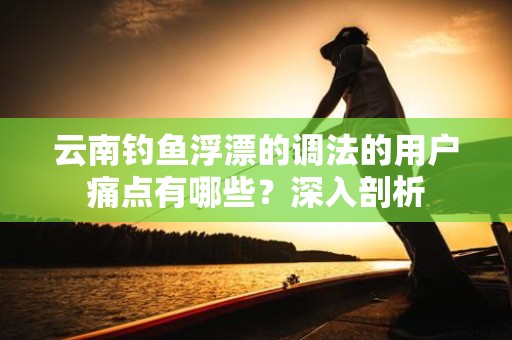 云南钓鱼浮漂的调法的用户痛点有哪些？深入剖析