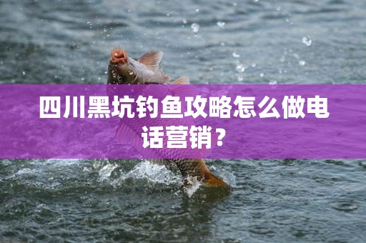 四川黑坑钓鱼攻略怎么做电话营销？