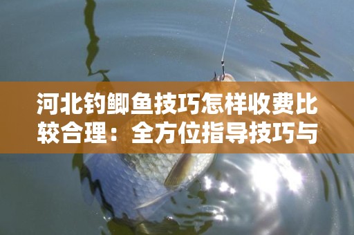 河北钓鲫鱼技巧怎样收费比较合理：全方位指导技巧与价格解析