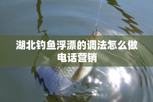 湖北钓鱼浮漂的调法怎么做电话营销