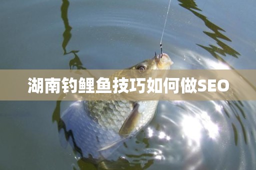 湖南钓鲤鱼技巧如何做SEO