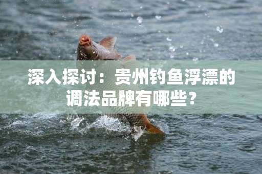 深入探讨：贵州钓鱼浮漂的调法品牌有哪些？