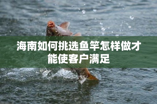 海南如何挑选鱼竿怎样做才能使客户满足