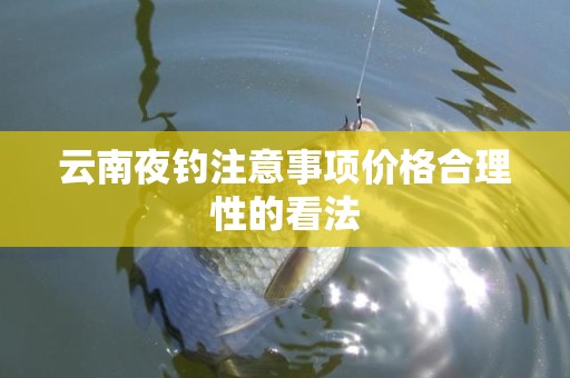 云南夜钓注意事项价格合理性的看法