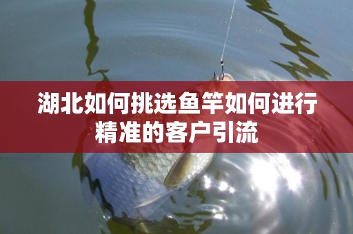 湖北如何挑选鱼竿如何进行精准的客户引流