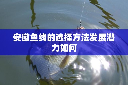 安徽鱼线的选择方法发展潜力如何