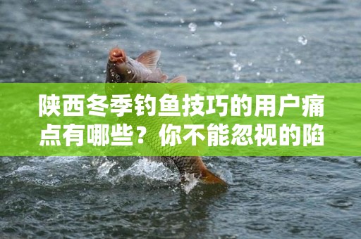 陕西冬季钓鱼技巧的用户痛点有哪些？你不能忽视的陷阱与解决方案