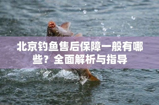 北京钓鱼售后保障一般有哪些？全面解析与指导