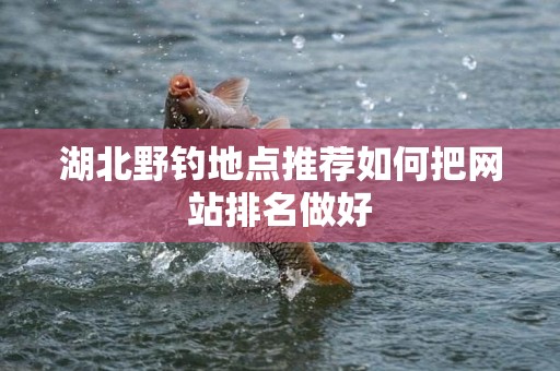 湖北野钓地点推荐如何把网站排名做好