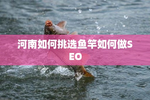 河南如何挑选鱼竿如何做SEO