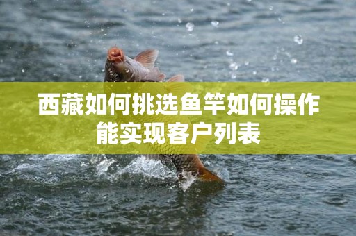 西藏如何挑选鱼竿如何操作能实现客户列表