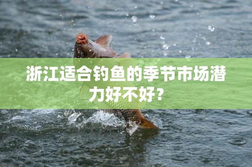 浙江适合钓鱼的季节市场潜力好不好？
