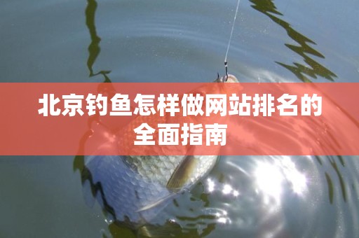 北京钓鱼怎样做网站排名的全面指南