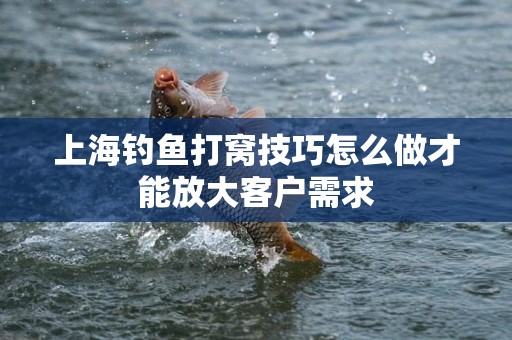 上海钓鱼打窝技巧怎么做才能放大客户需求
