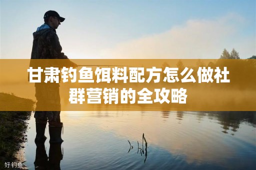 甘肃钓鱼饵料配方怎么做社群营销的全攻略