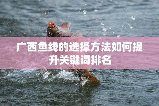 广西鱼线的选择方法如何提升关键词排名