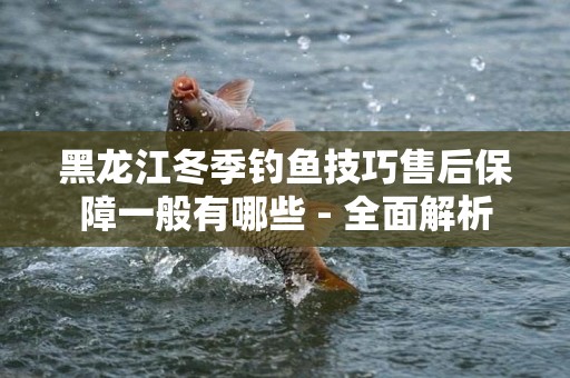 黑龙江冬季钓鱼技巧售后保障一般有哪些 - 全面解析