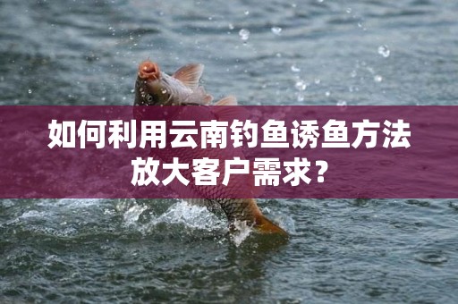 如何利用云南钓鱼诱鱼方法放大客户需求？