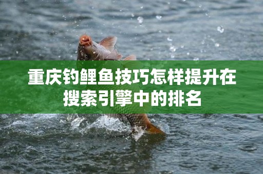 重庆钓鲤鱼技巧怎样提升在搜索引擎中的排名