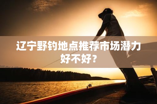 辽宁野钓地点推荐市场潜力好不好？