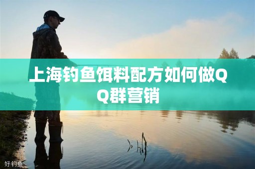 上海钓鱼饵料配方如何做QQ群营销