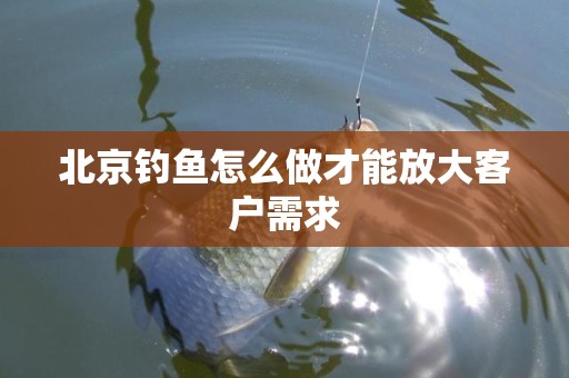 北京钓鱼怎么做才能放大客户需求