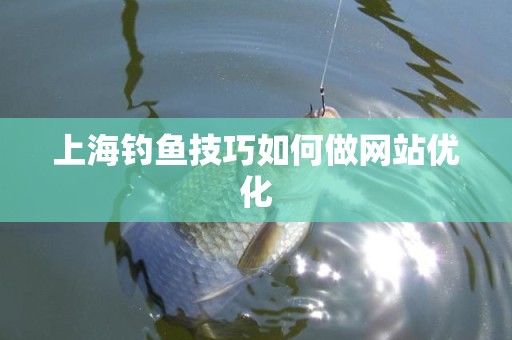 上海钓鱼技巧如何做网站优化