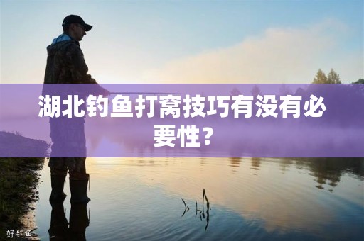 湖北钓鱼打窝技巧有没有必要性？