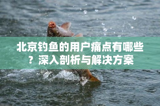 北京钓鱼的用户痛点有哪些？深入剖析与解决方案