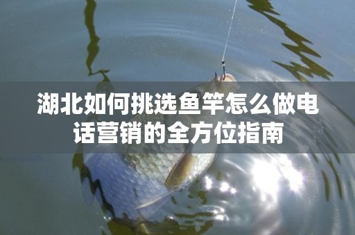 湖北如何挑选鱼竿怎么做电话营销的全方位指南