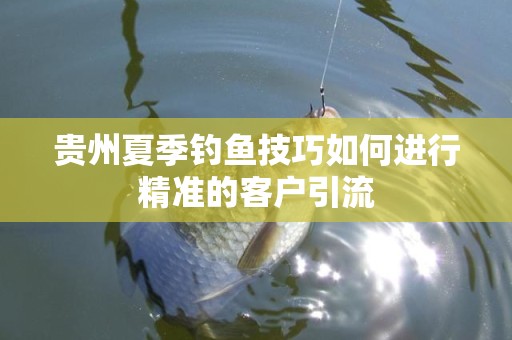 贵州夏季钓鱼技巧如何进行精准的客户引流